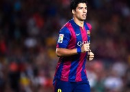 如何使用米兰milan真实评测