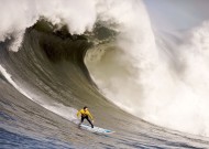 使用米兰体育是一种怎样的体验（实测）