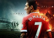 平台体验分享功能介绍：米兰体育（推荐）