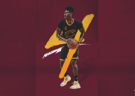 米兰体育平台服务体系真实评测