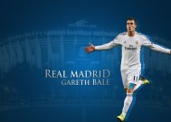 新手入门指南：米兰·(milan)（推荐）